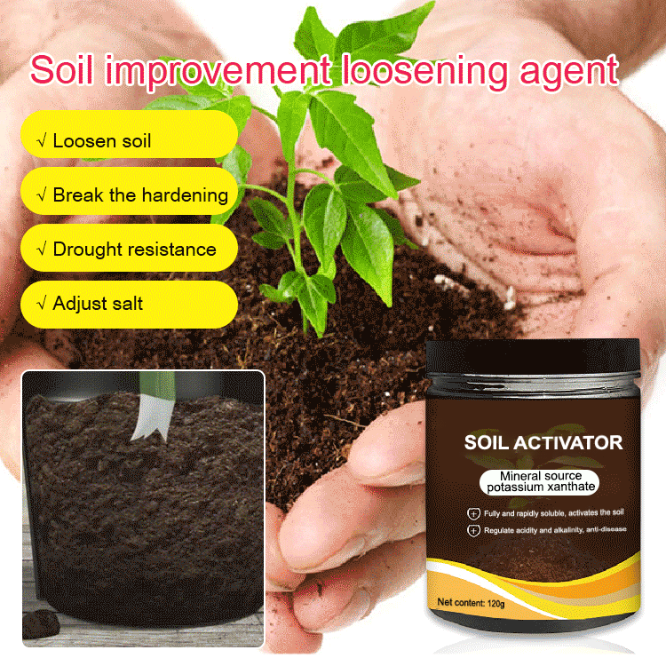 🔥Limited Sale - BUY 1 GET 1 FREE🔥Soil Activated Treasure Premium Soil Activator